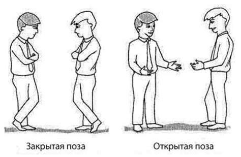 Язык тела: основные элементы и значение языка тела как якоря