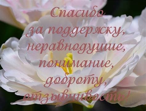  "Ты нашел во мне поддержку и понимание" 