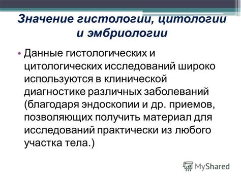  Важность проведения Эктоцервикальной цитологии в диагностике эктоцервикса 