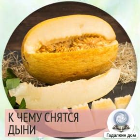  Дыня во сне: значение для отношений с партнером 