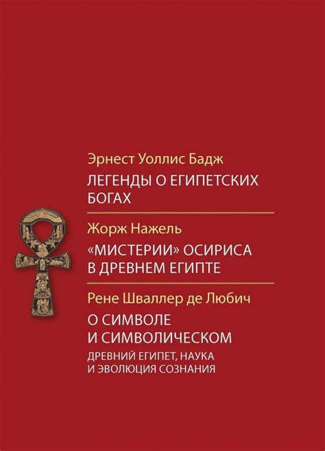  Мифы и легенды о символическом значении сна с серой мышью в руках 