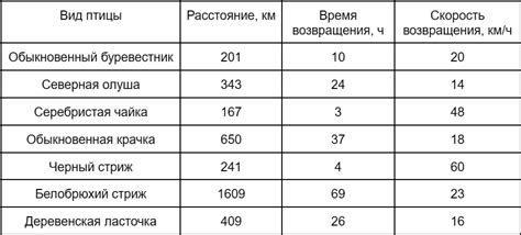  Невероятная способность птиц к параллельному выполнению нескольких задач 