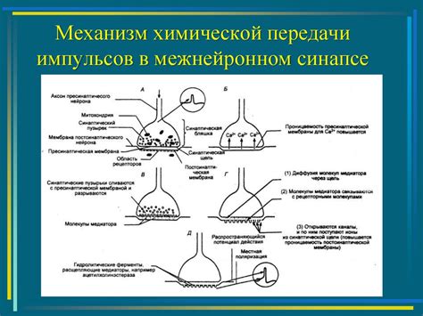  Основы передачи импульсов: полное понимание процесса 