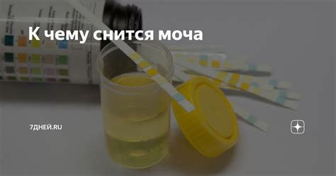  Почему снится моча: основные символы и символика 