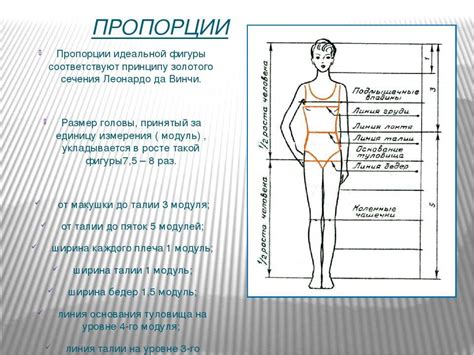  Приемы визуального изменения пропорций фигуры через одежду 