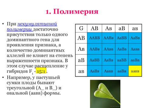  Примеры проявления доминантного генома в человеческом организме 