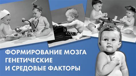  Причины умственной отсталости: генетические и не генетические факторы 