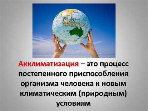  Проблемы с аклиматизацией: сложности приспособления к новым условиям