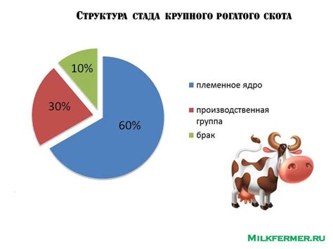  Разнообразные толкования значения большого стада рогатого скота
