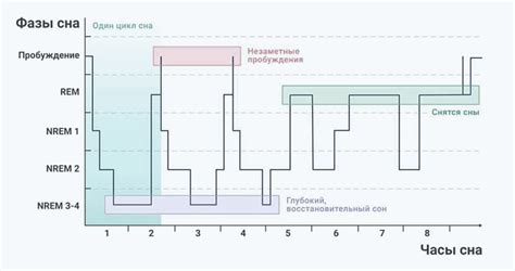  Связь между прохождением через пещеру и наступлением глубокой фазы сна 