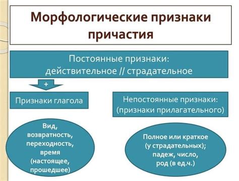  Символика причастия 