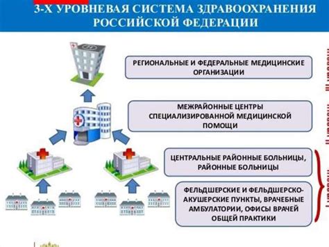  Символическое значение насыщенных продуктами женщине: каковы перспективы будущего?
