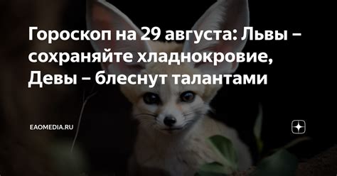  Советы по расшифровке снов о займах: сохраняйте хладнокровие