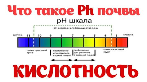  Что такое кислотность 