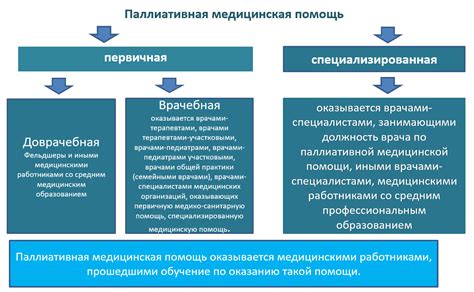  Что такое паллиативная медицинская помощь?