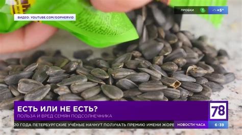  – Возможная связь снов о семечках и необходимостью дополнительной энергии