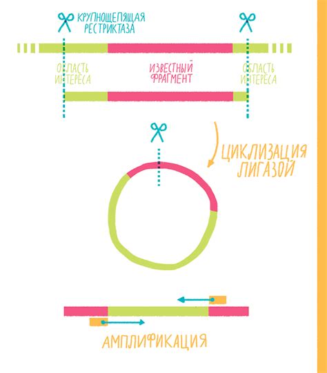 PCR тест negative: что это означает?