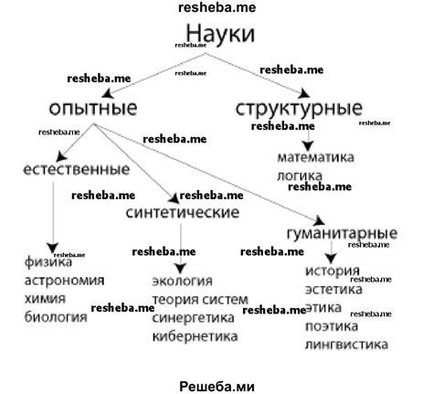 STP в биологии и науке