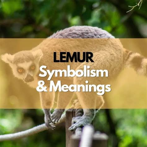 Symbolism of the Lemur in the Modern World of Dreams