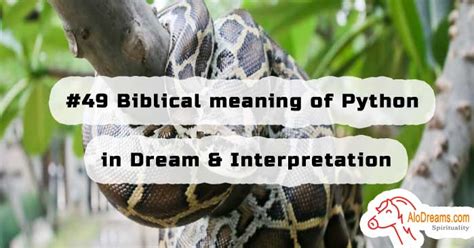 Symbology and Interpretation of a Dream with a Python