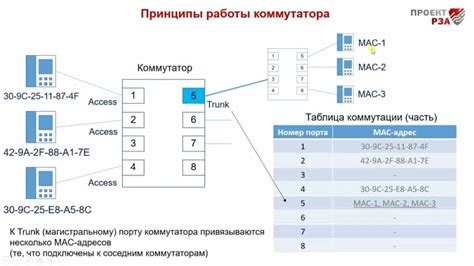 TASS: основные характеристики и функции